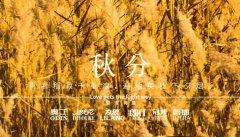 秋分丨晝夜分畫，漸入秋華