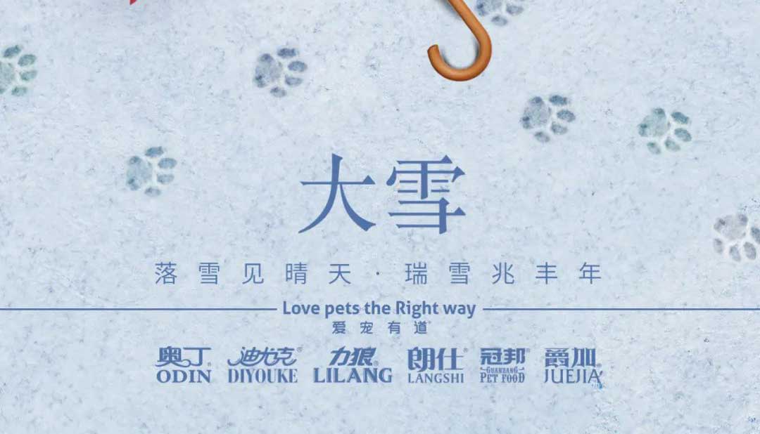 大雪丨雪落知寒意 久伴見初心！